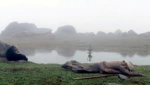 Sona Dhwandi Bhed Te Suchha Pahad — foto 4