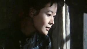 湘女萧萧 — foto 8