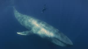 Big Pacific — foto 4
