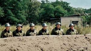 NVA — foto 3