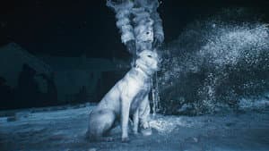 Genealogy of Violence — foto 1