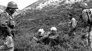 War 2 War — foto 1