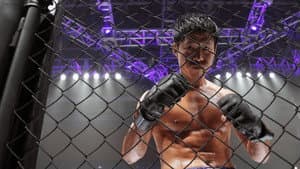 Fists of Legend — foto 8