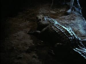 Episodio 8