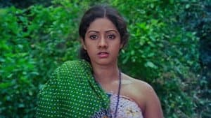 கல்யாணராமன் — foto 5