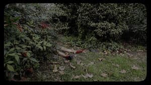 Cuerpos de Maria — foto 1
