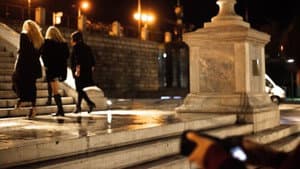 Οι πικροδάφνες — foto 1