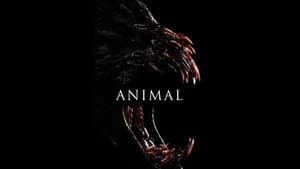 Animal — foto 6