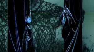 Wagner: Götterdämmerung — foto 8