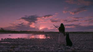 Birdshot: Impunidad Protegida — foto 1