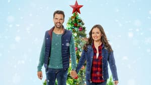Tú yo y los árboles de Navidad — foto 1