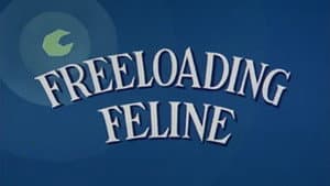 Freeloading Feline — foto 1