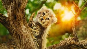 Salvajes por naturaleza — foto 3