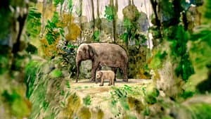 La Tragique Histoire de Fritz l'éléphant — foto 3