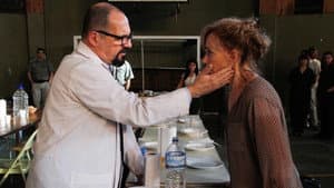 Episodio 8
