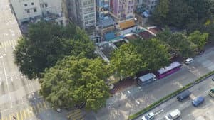 風吹布動 — foto 3