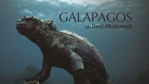 Galapagos 3D with David Attenborough — foto 3