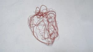 Things — foto 1