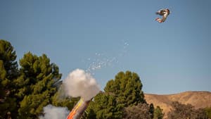 Jackass por Siempre — foto 1