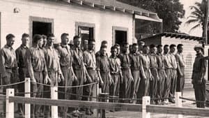 The Millionaires' Unit — foto 2