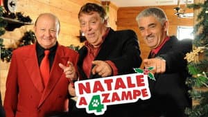 Natale a 4 zampe — foto 3