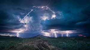 Wonders of the Monsoon — foto 1
