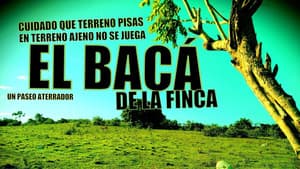 El bacá de la finca — foto 1