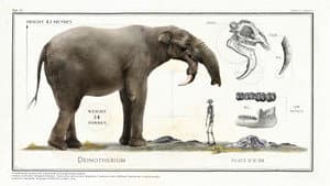 Big Beasts: Last of the Giants — foto 6