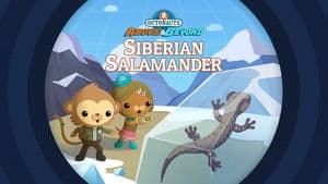 Episodio 5