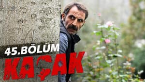 Episodio 11