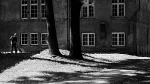 La Disparition de Josef Mengele — foto 5