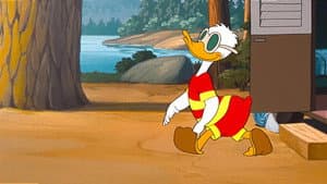 Duck Flies Coop — foto 4