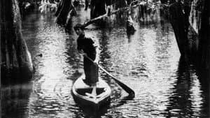 Louisiana Story — foto 1
