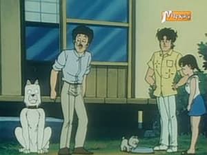 Episodio 132