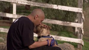 Episodio 2