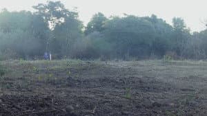 Siempre Andamos Caminando — foto 1