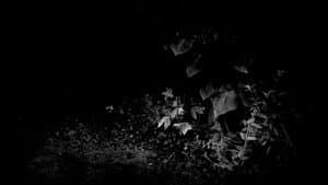 Burn Out Like a Dying Candle in the Cradle of my Arms — foto 1