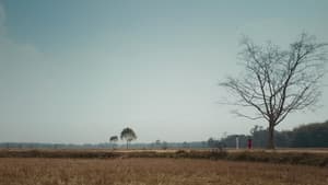 ভাইমন দা — foto 2