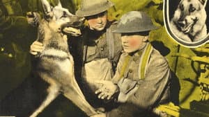 His Master's Voice — foto 1