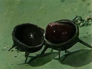 Episodio 11