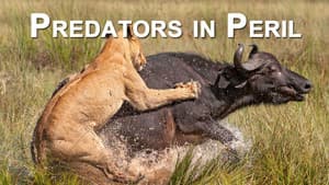 Predators in Peril — foto 1