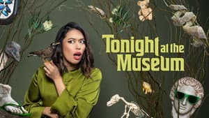 Tonight at the Museum — foto 1