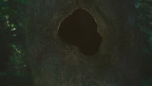 Earthen — foto 1