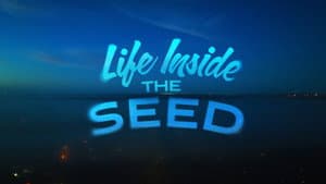 Life Inside the Seed — foto 1