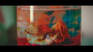PRUDE — foto 4