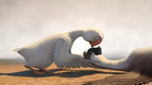 Pato, pato, ganso — foto 9