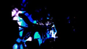 Black Ice — foto 1