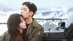 归路 — foto 1