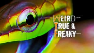 Weird, True & Freaky — foto 3