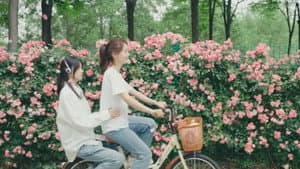 You Who Are Lost With the Wind — foto 1